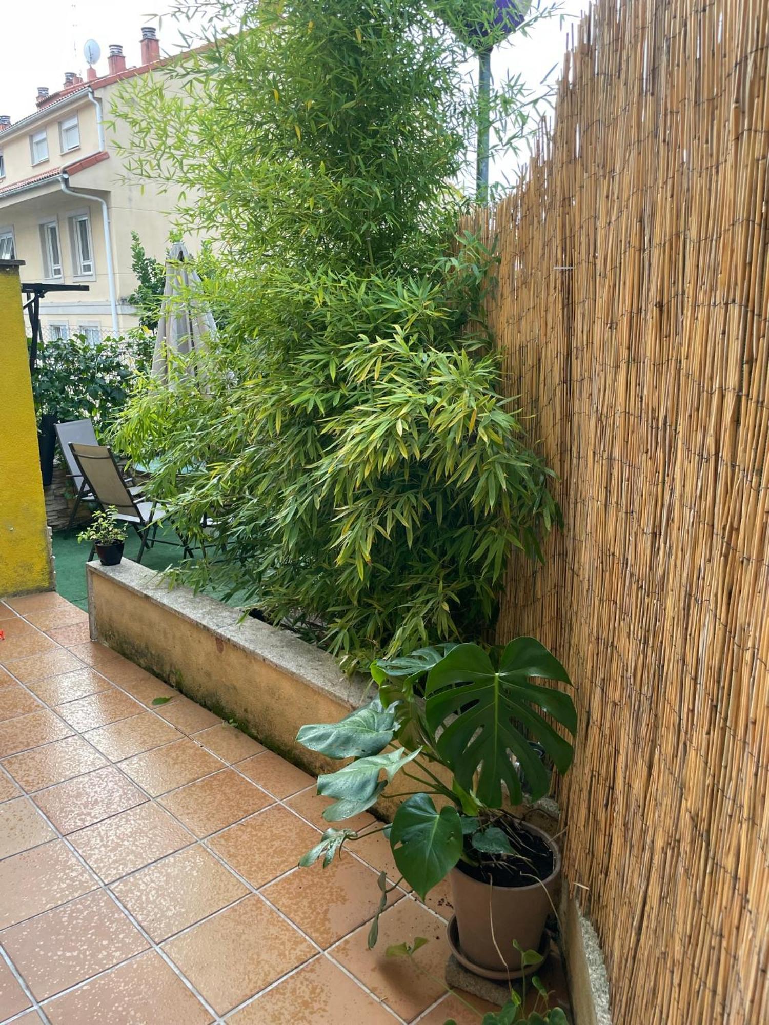 شقة Ecobambu Con Terraza Y Parking En Pontevedra San Salvador de Poio المظهر الخارجي الصورة
